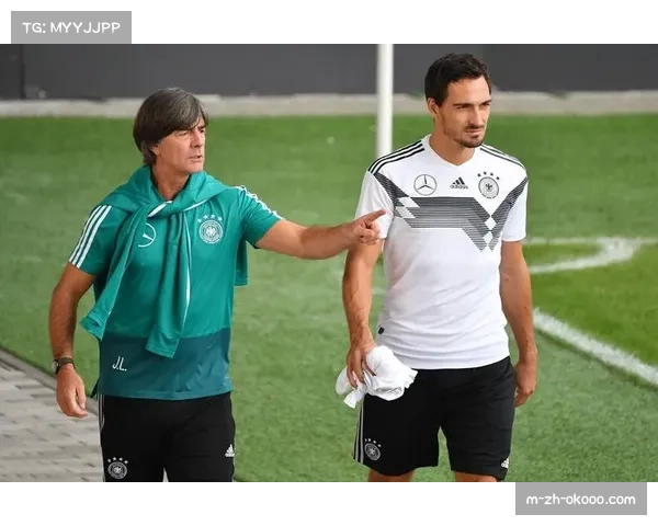 汉堡后卫武斯科维奇膝关节受伤 四月最新检查确认伤情 汉堡后卫武斯科维奇膝关节受伤 四月最新检查确认伤情